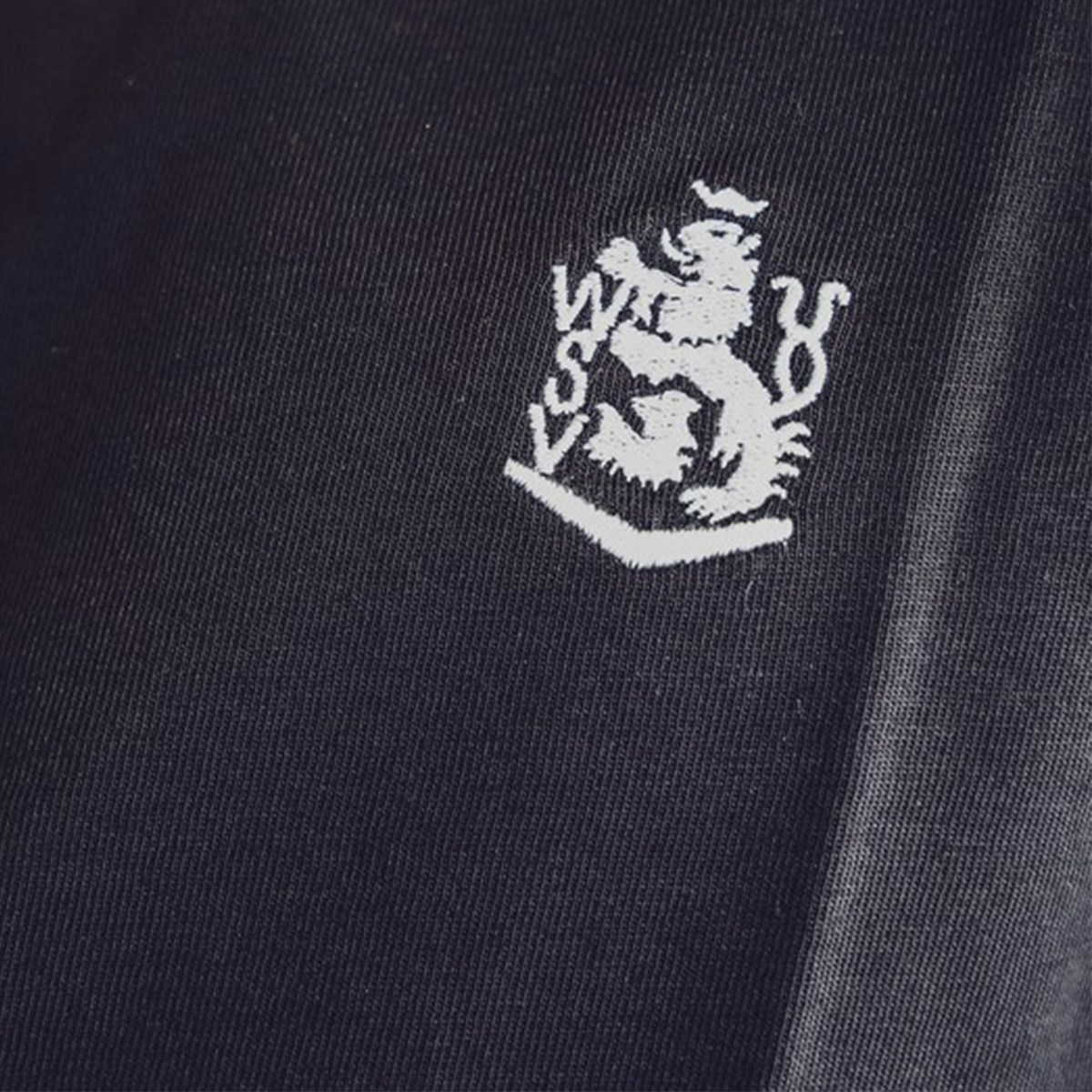 LEMERCH Ayegin Tosin FC Zürich